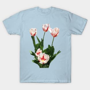 Red and White Tulips T-Shirt